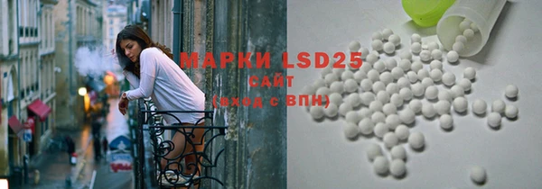 индика Балахна