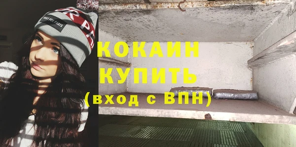 индика Балахна