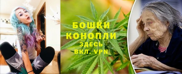 индика Балахна