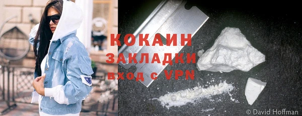 индика Балахна