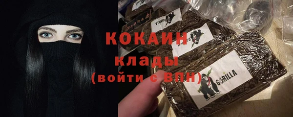 индика Балахна