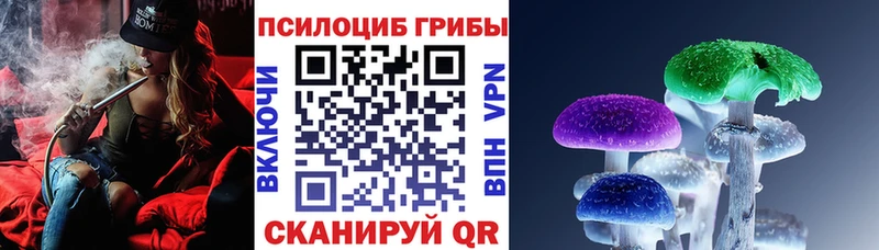 Купить где  Называевск  Галлюциногенные грибы Cubensis 